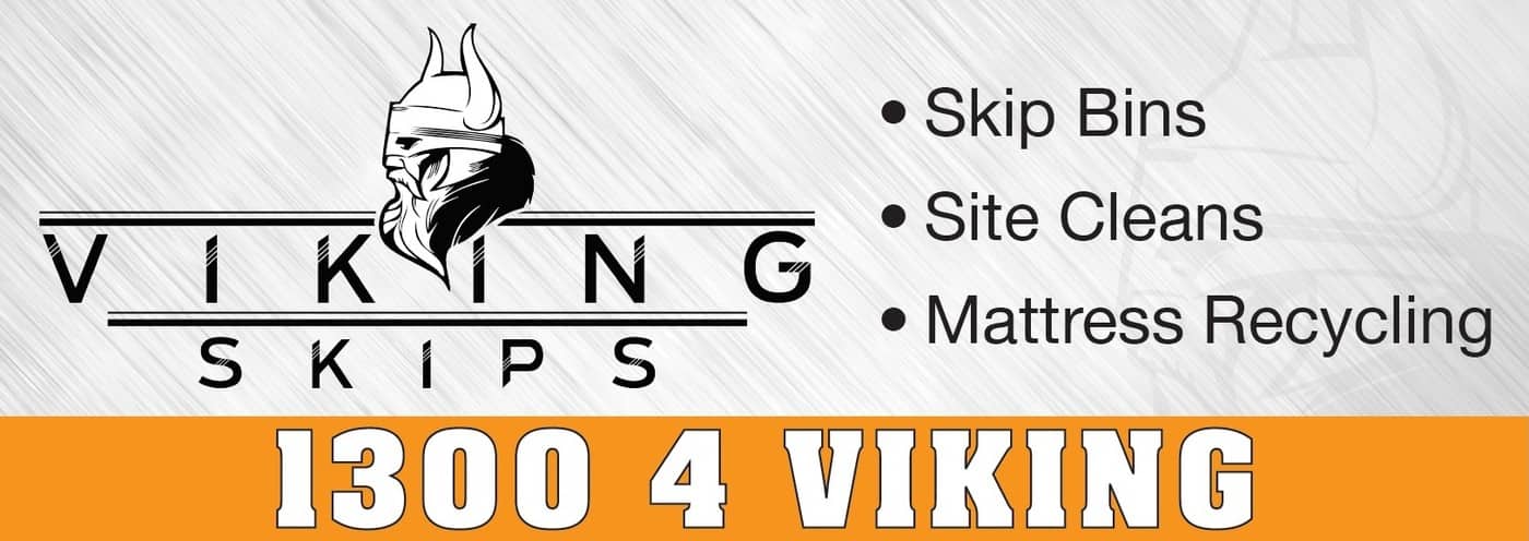 Viking Skips - Cover photo