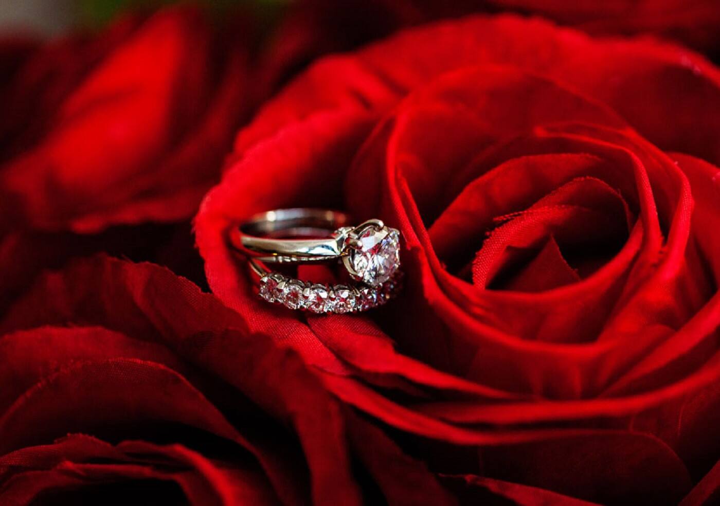 Vikki Siliato Photographer - Cover photo