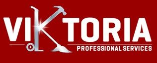 Viktoria Professional Services - Cover photo