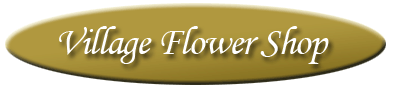 Village Flowers - Logo