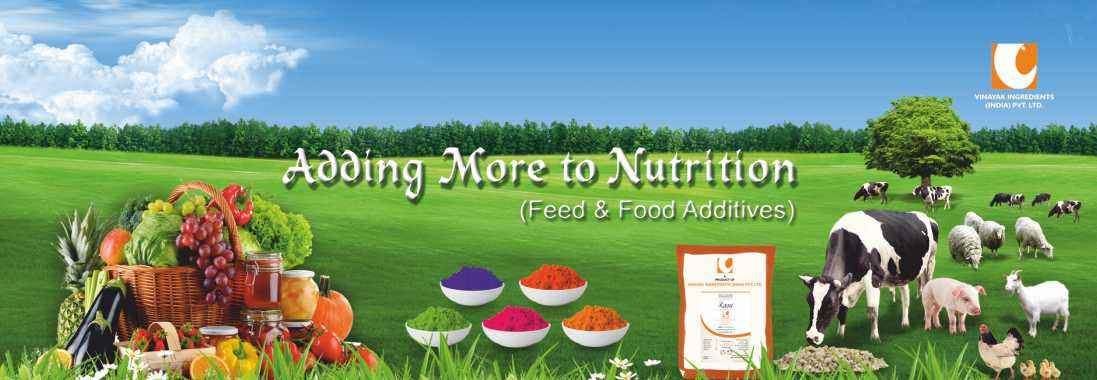 Vinayak Ingredients India - Cover photo
