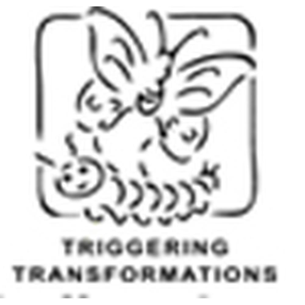 Vindhya Institute of Technology and Science (VITS) - Logo