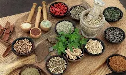 Vinit Ayurvedic Agency - Cover photo