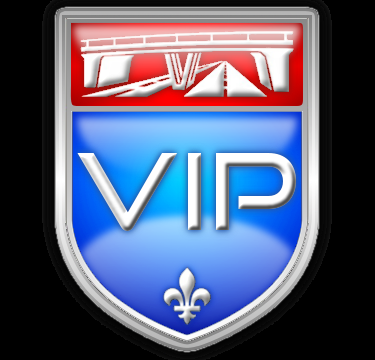 VIP Driving School - Logo