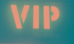 VIP The Status - Logo
