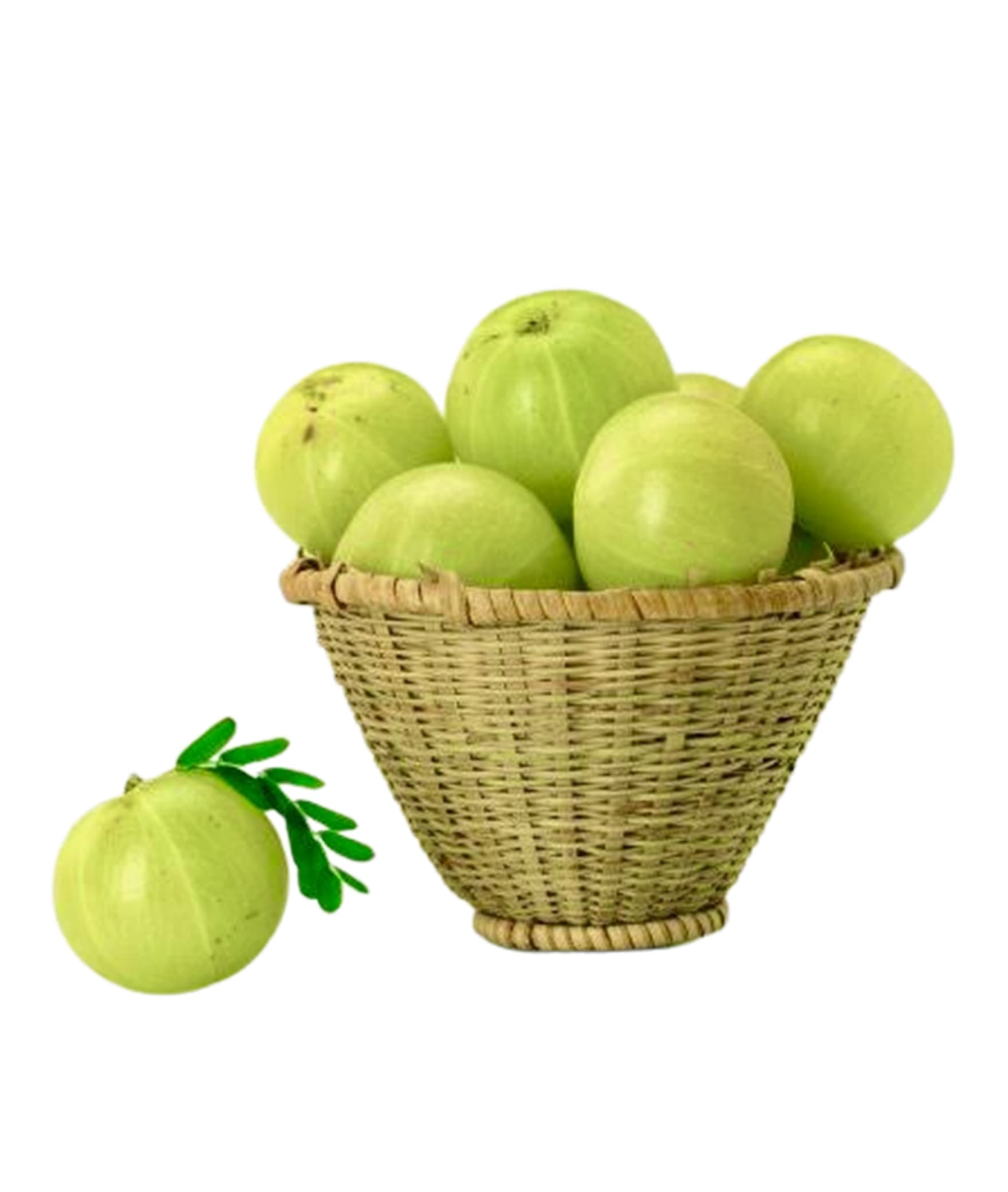 Viral Plantation - Logo