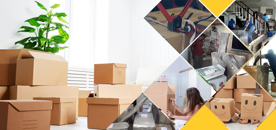Virar Elvin Packers And Movers - Cover photo