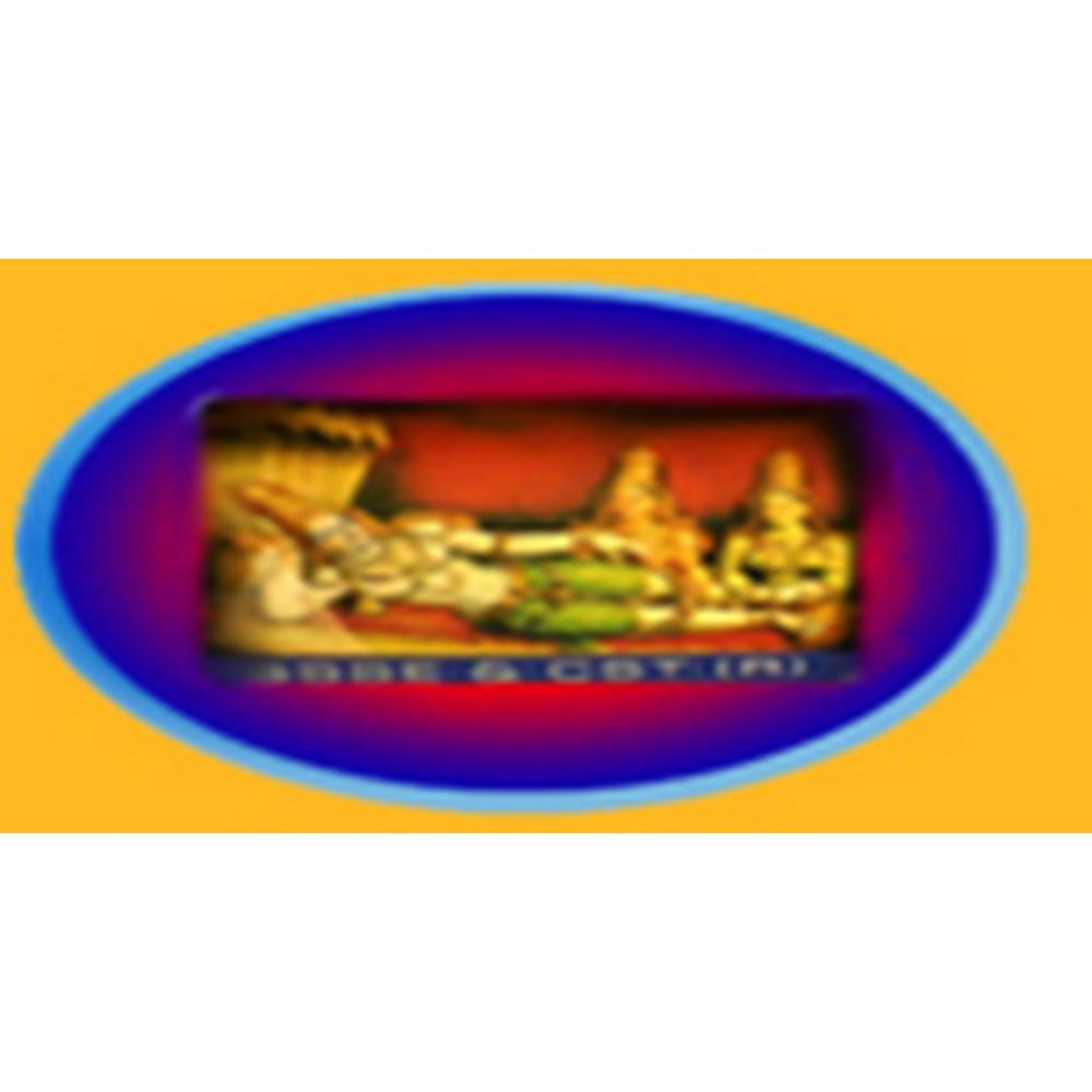 Vishnu college & School Of Nursing (VCSN) - Logo
