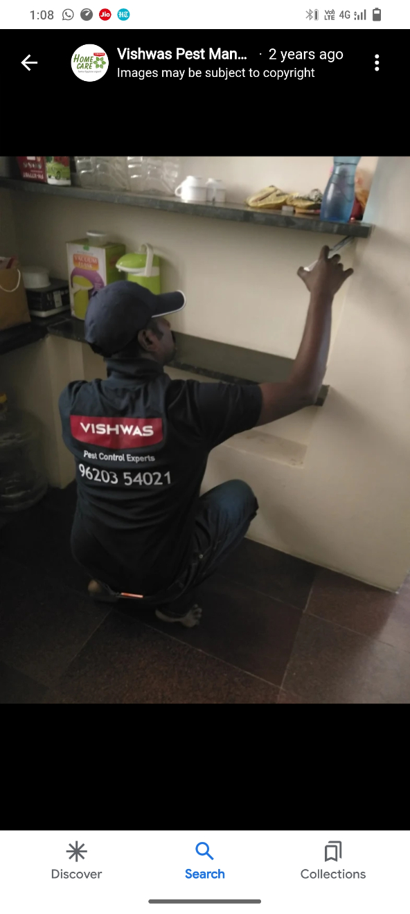 Vishwas Pest Management And Control - Cover photo