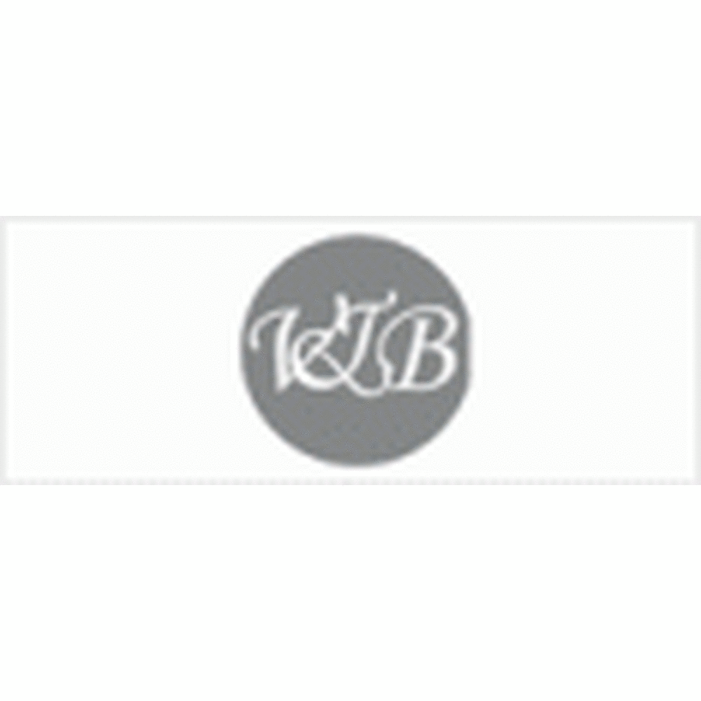 Vision & Beyond Institute (VBI) - Logo