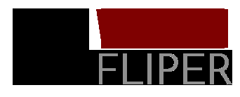 Vision Fliper - Logo