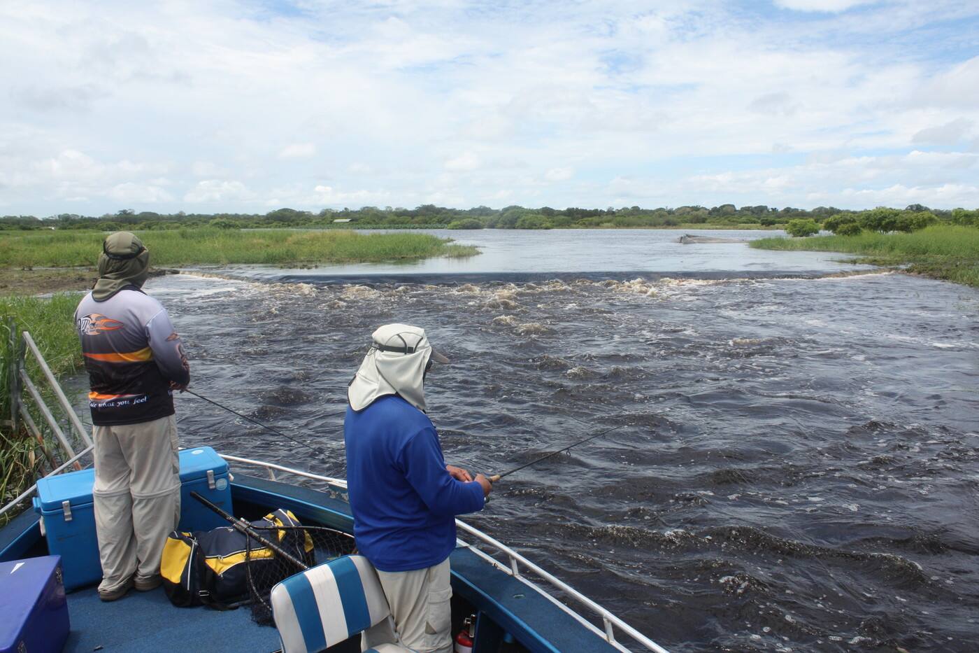 Vision Sport Fishing - Cover photo
