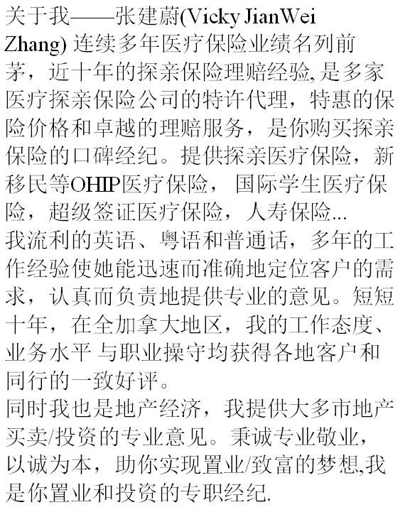 Visitor&s;s Medical Insurance Service - Logo