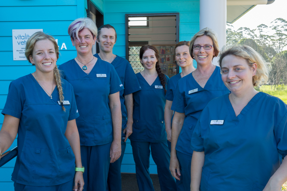 Vitality Vetcare - Cover photo