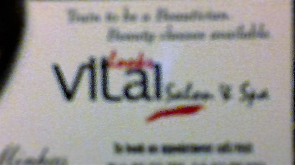 Vital Looks Salon and Spa - Logo