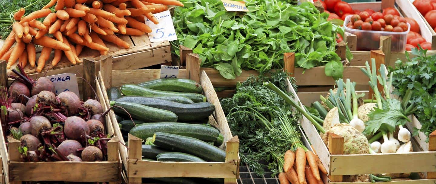 Vitamin Zone - Cover photo