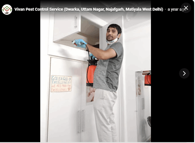 Vivan Pest Control Service (Dwarka, Uttam Nagar, Najafgarh, Matiyala West Delhi) - Cover photo