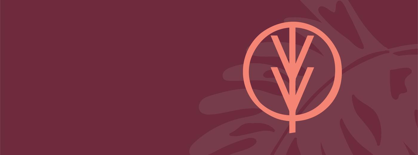 Vivo Chiropractic - Cover photo