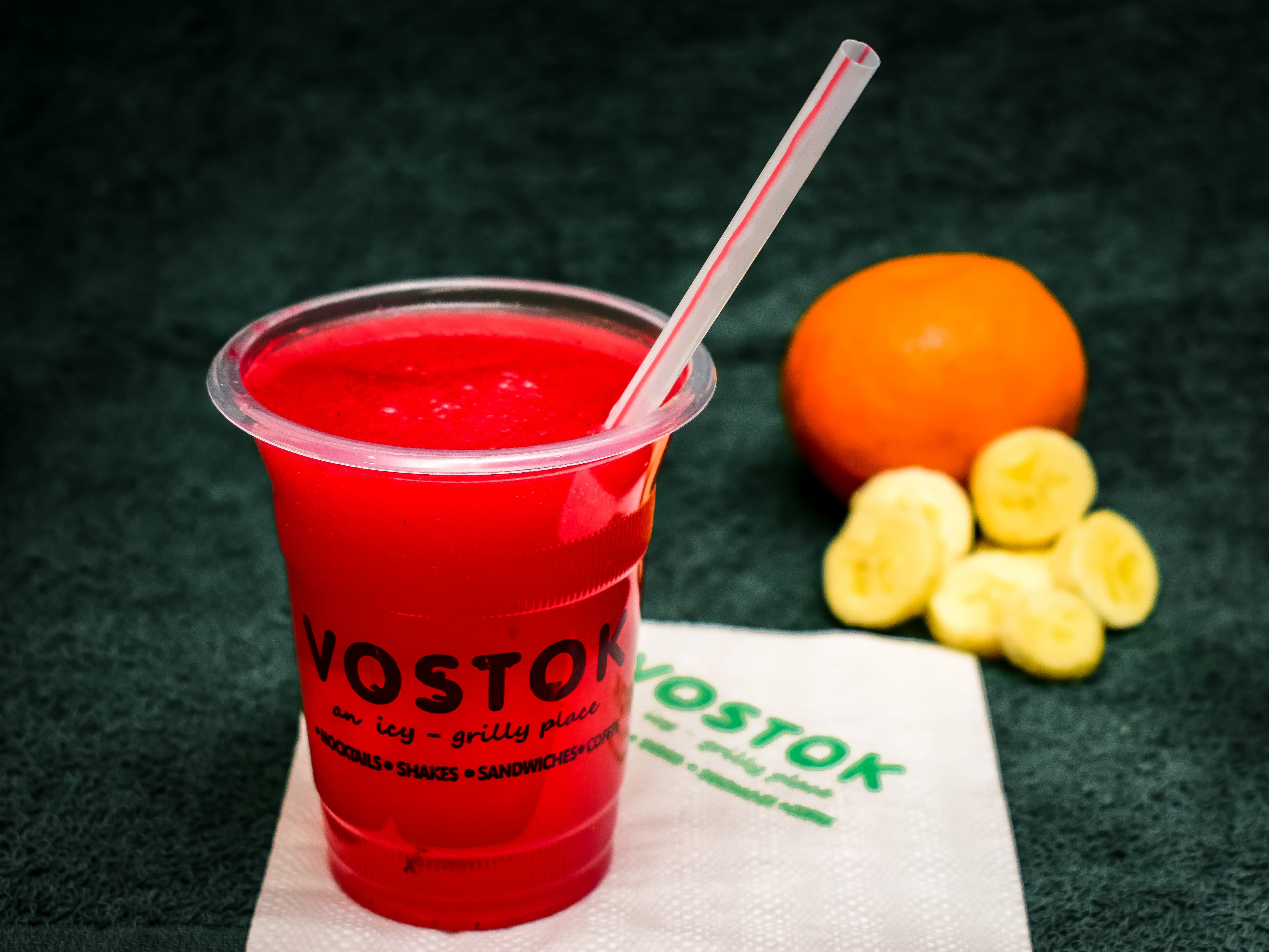 Vostok - Logo