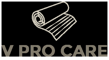 V Pro Care - Logo