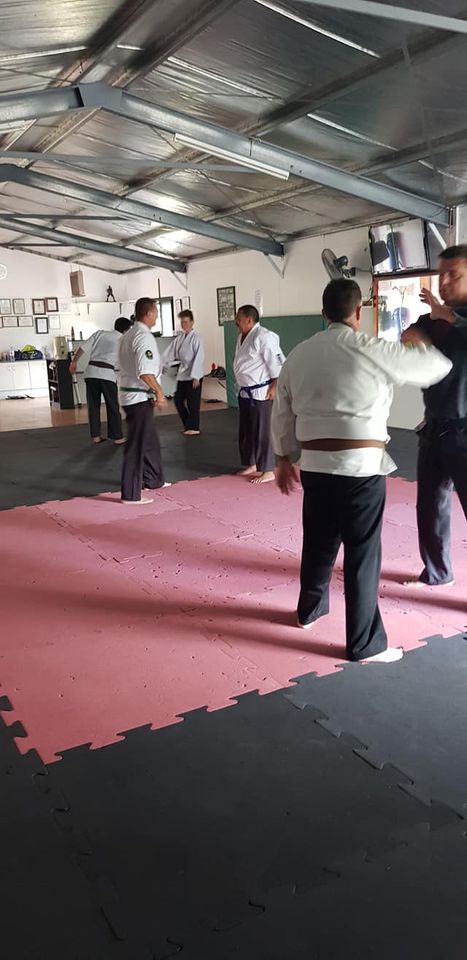 Warrior Martial Arts School - Logo
