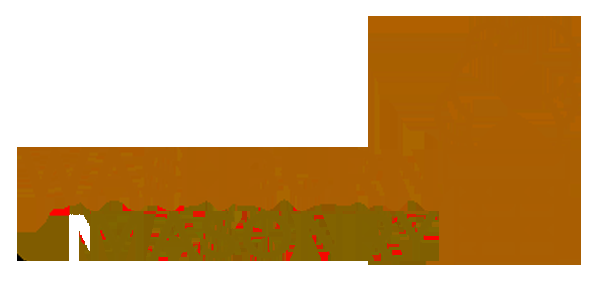 Washburn Masonry Chimneys Restoration Repair - Logo