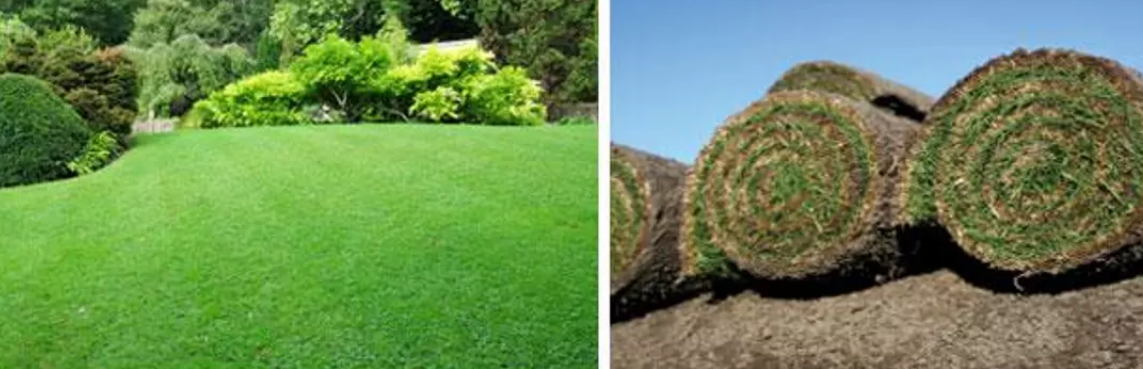 Waterwise Turf - Logo