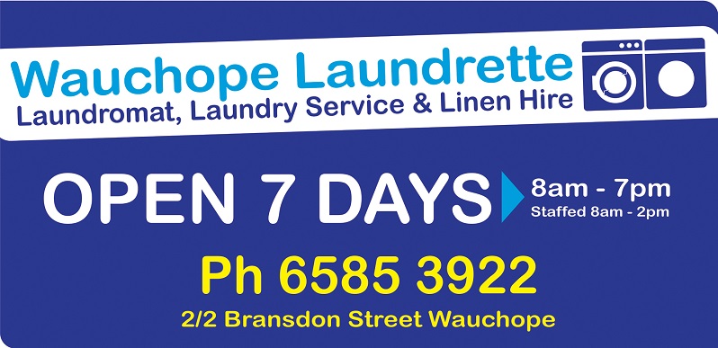 Wauchope Laundrette - Logo