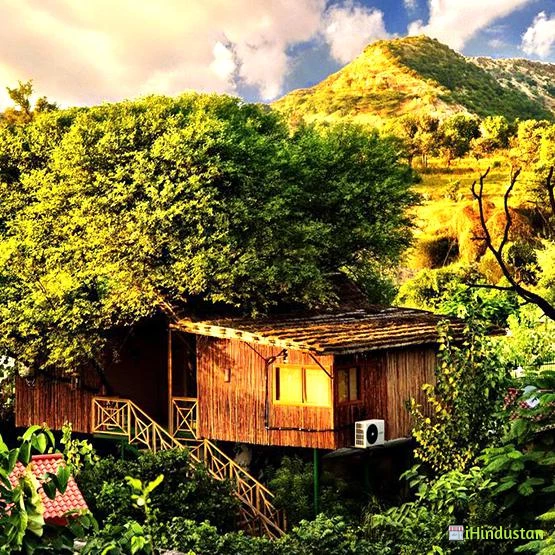 Weekend Getaways in Jaipur Tree House Resort Jaipur - Logo
