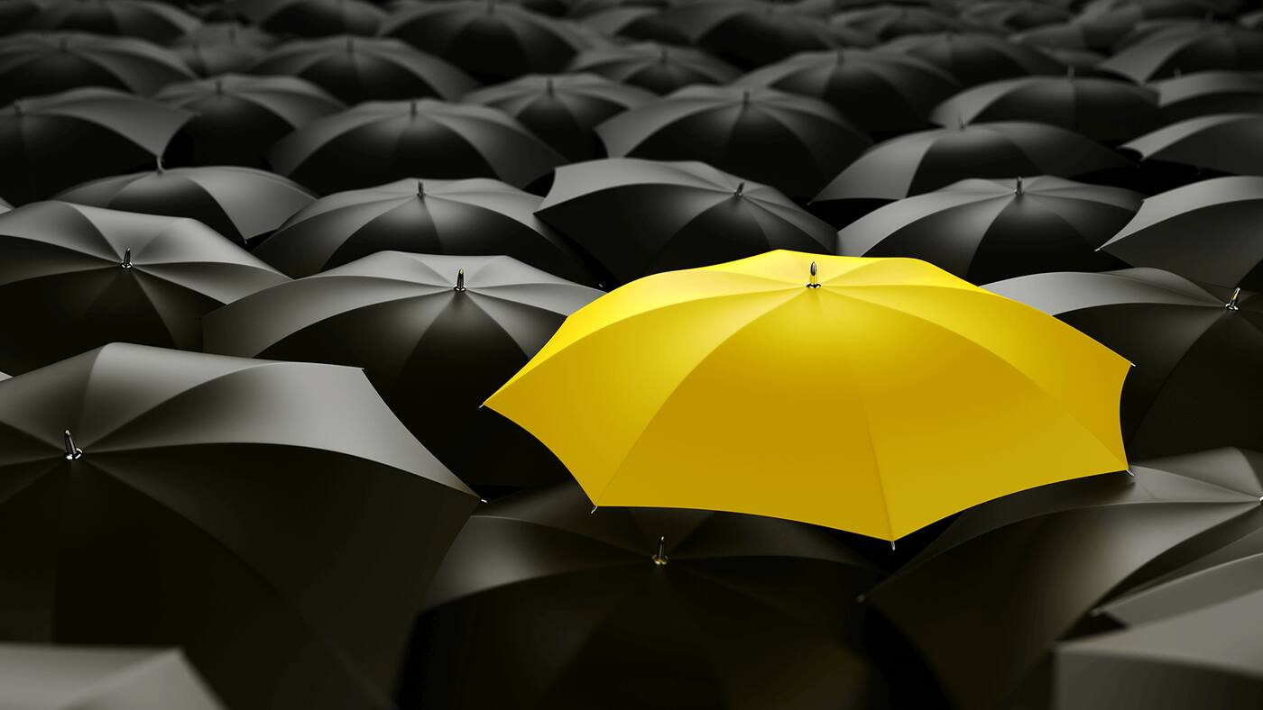 WE Insurance - Cover photo