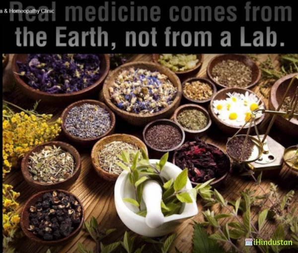 Wellness Ayurveda & Homeopathy Clinic - Logo