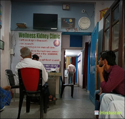 Welness Best Kidney Clinic - Logo