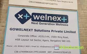 Welnext - Logo