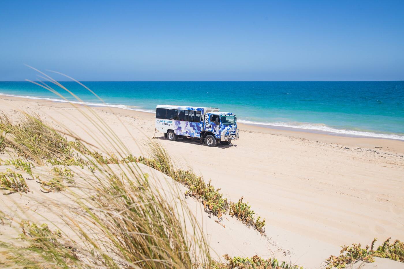 Westside Tours - Cover photo