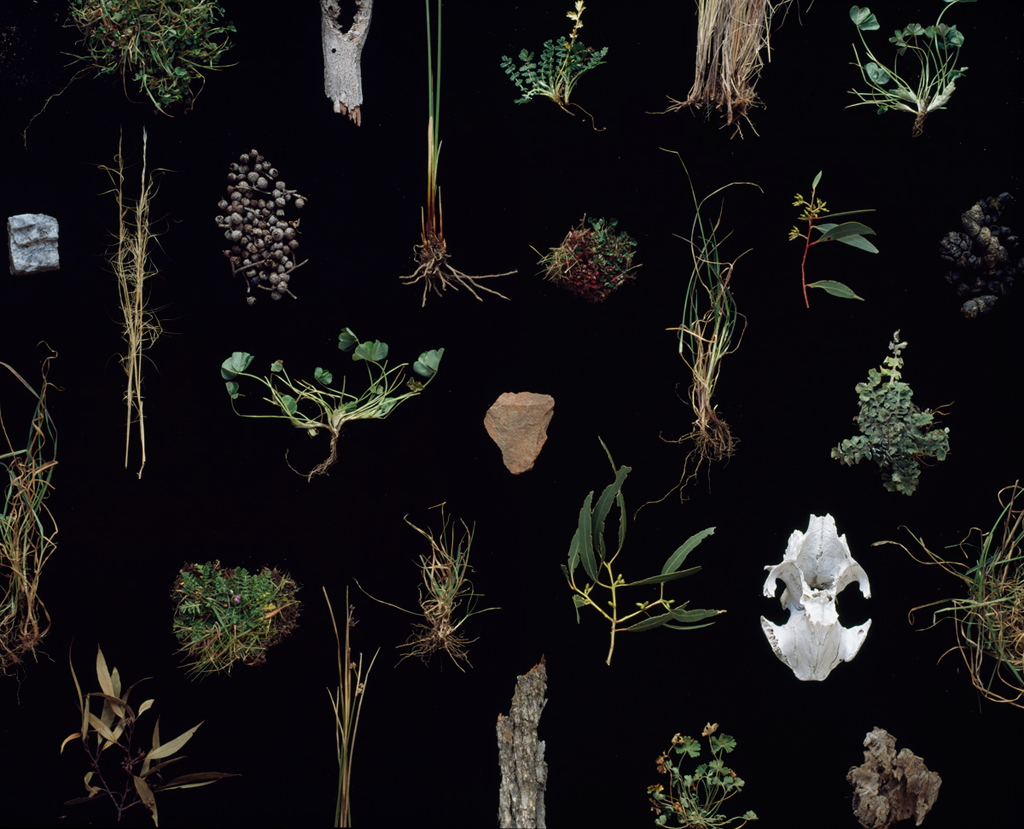 Weswal Gallery - Cover photo