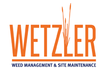 Wetzler Pty Ltd - Logo