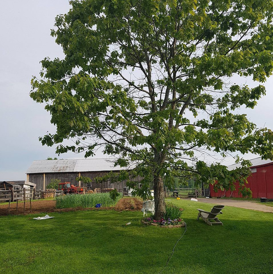 Whispering Pines Farm &a; Garden - Cover photo
