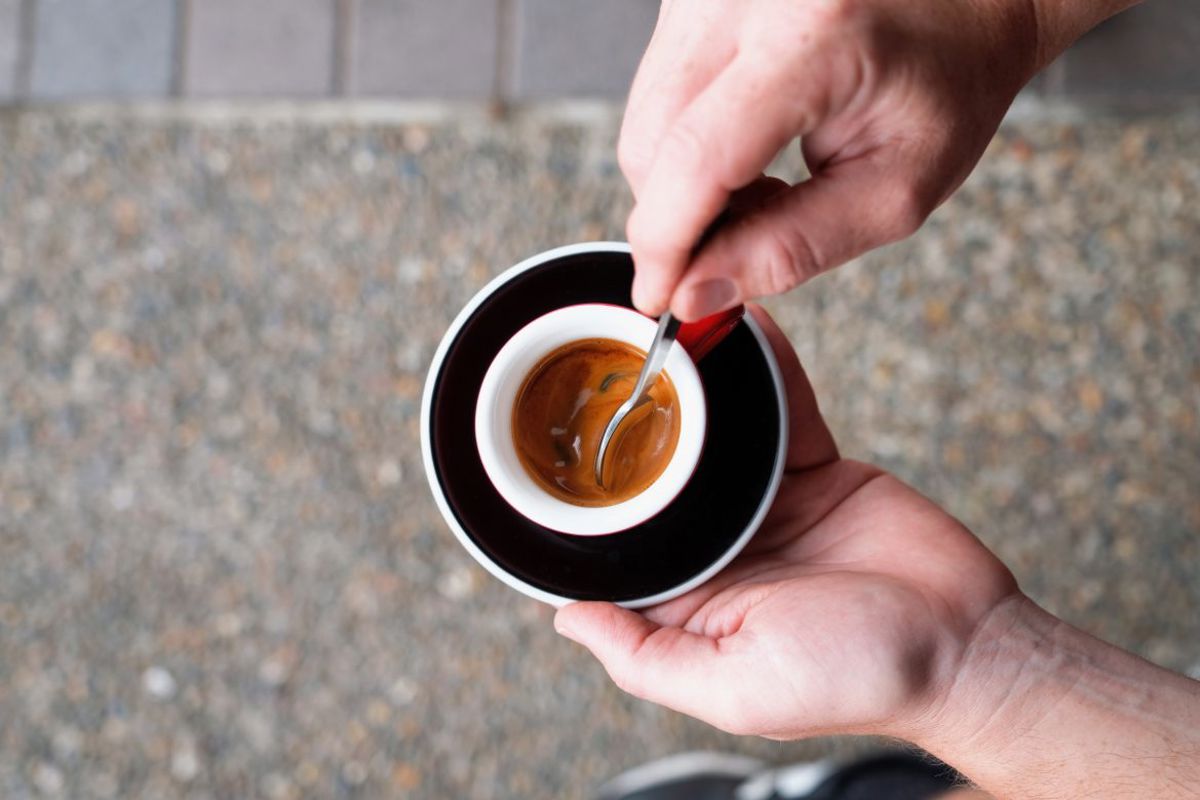 White Horse Coffee - Logo