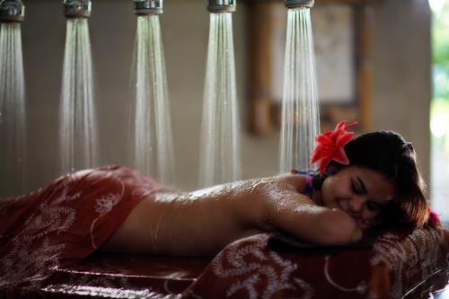 White Lotus Tropical Day Spa - Logo