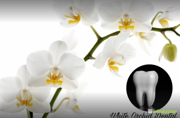 White Orchid Dental Clinic - Logo