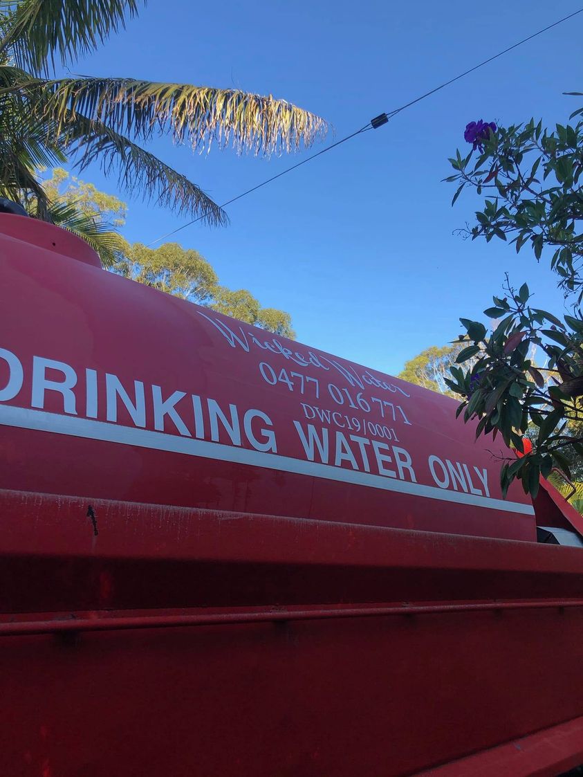Wicked Water - Logo