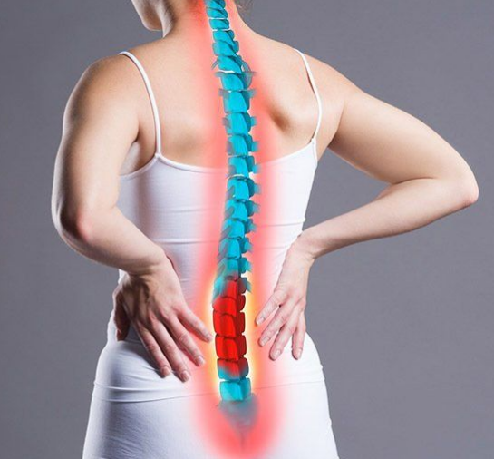 Wide Bay Chiropractic–Damian Mamet - Logo