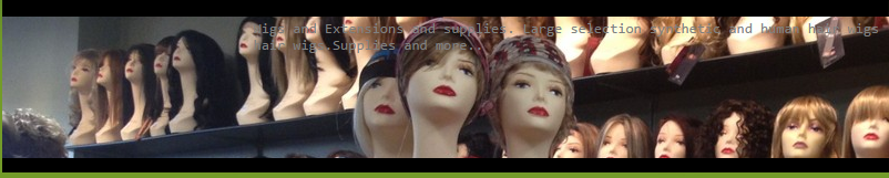 Wig 360 - Logo