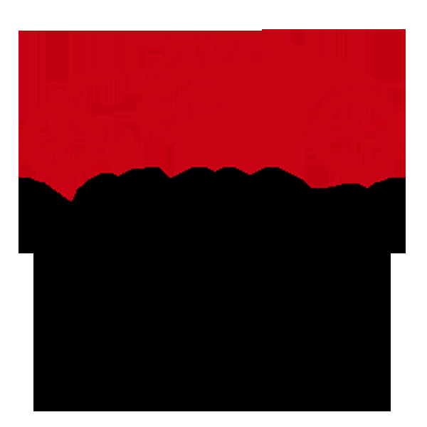 Wiki Clean - Logo