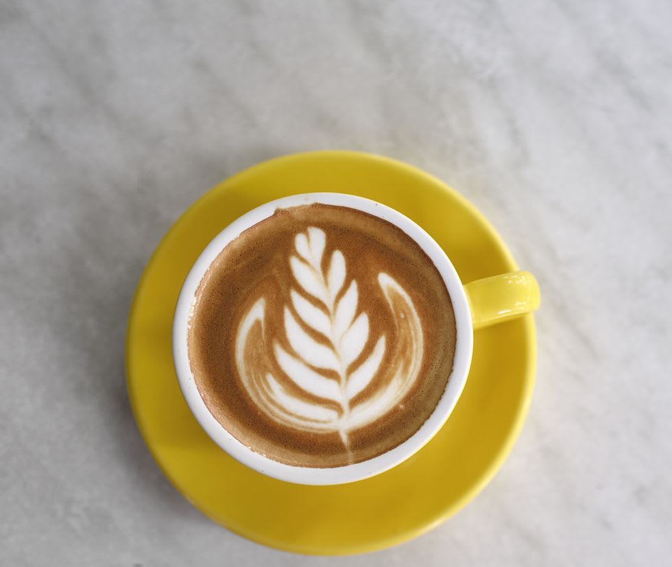 Wild Bean Cafe - Logo