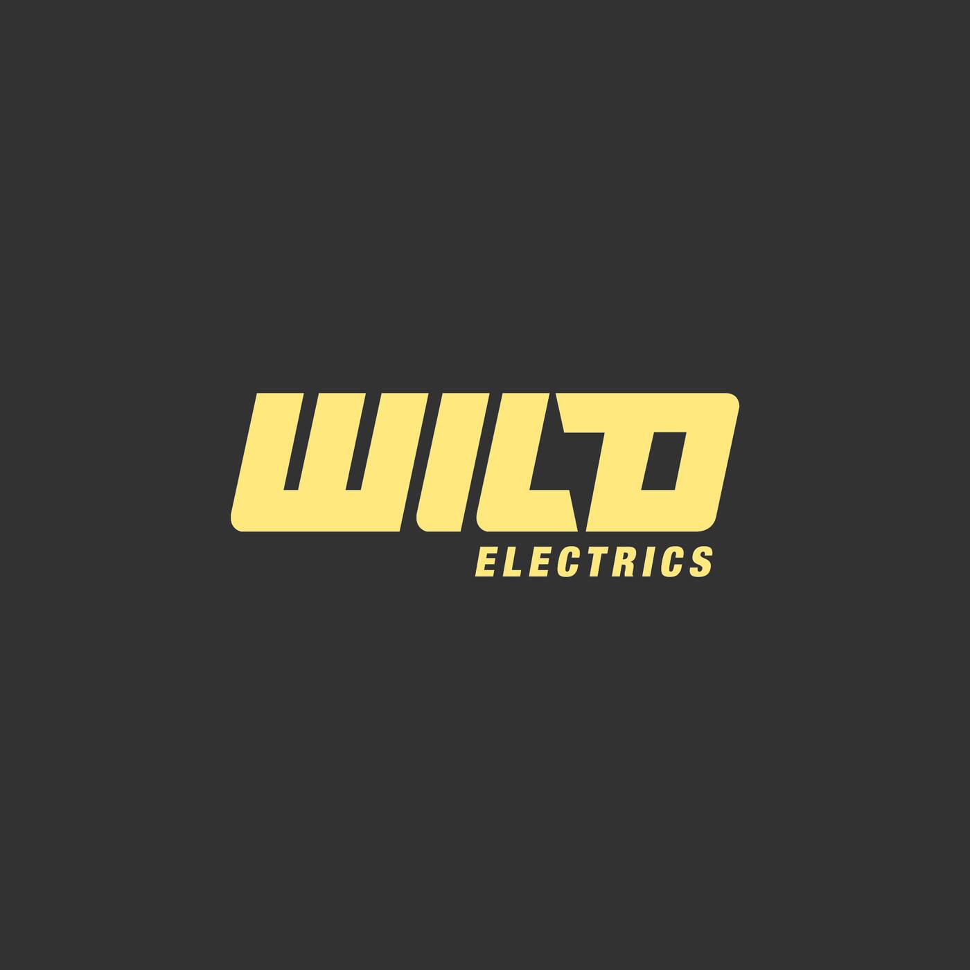 Wild Electrics - Logo