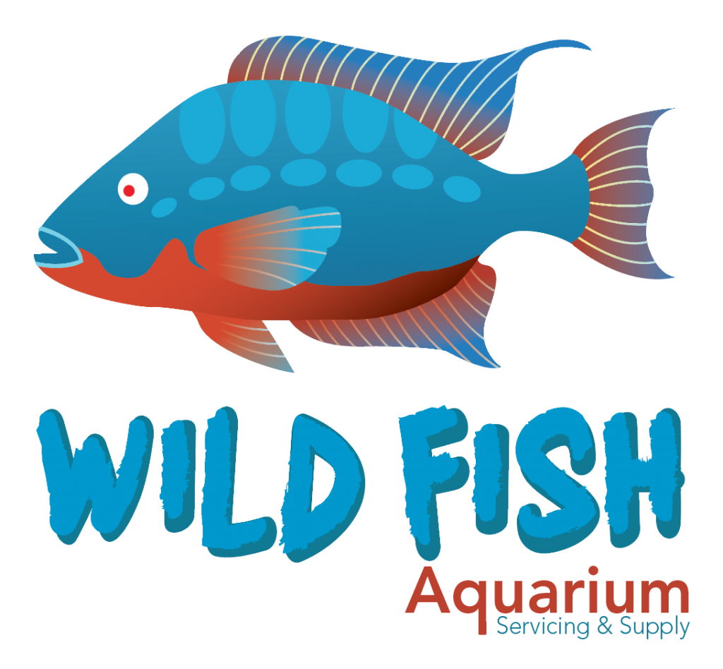 Wildfish Aquarium - Logo