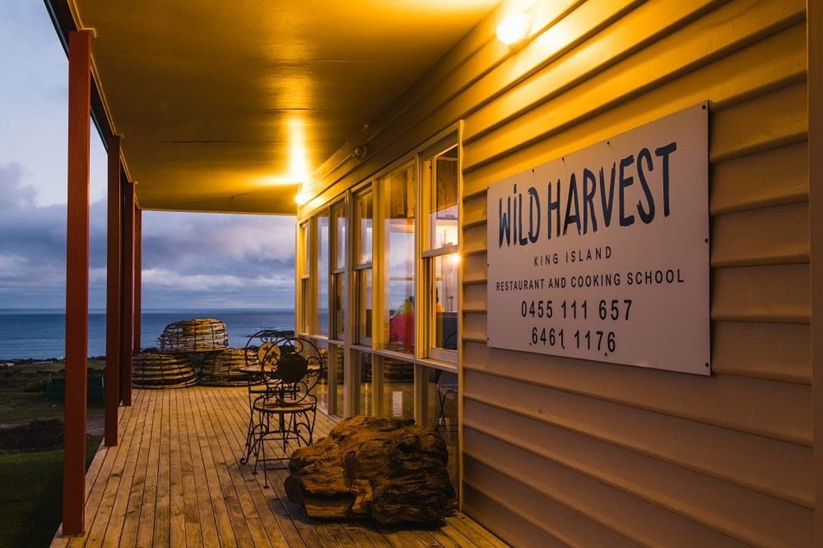 Wild Harvest - Logo