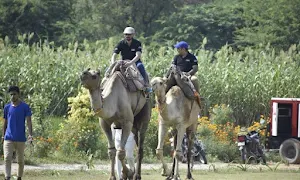 Wildhawk Adventures, Faridabad - Cover photo