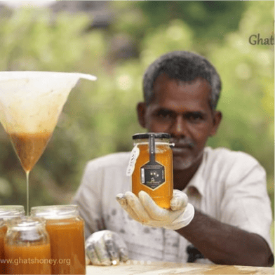Wild Honey Hunters - Cover photo
